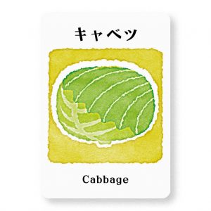キャベツ